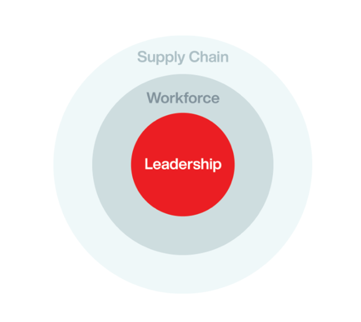Relación entre cadena de suministro, fuerza laboral y liderazgo- NOA