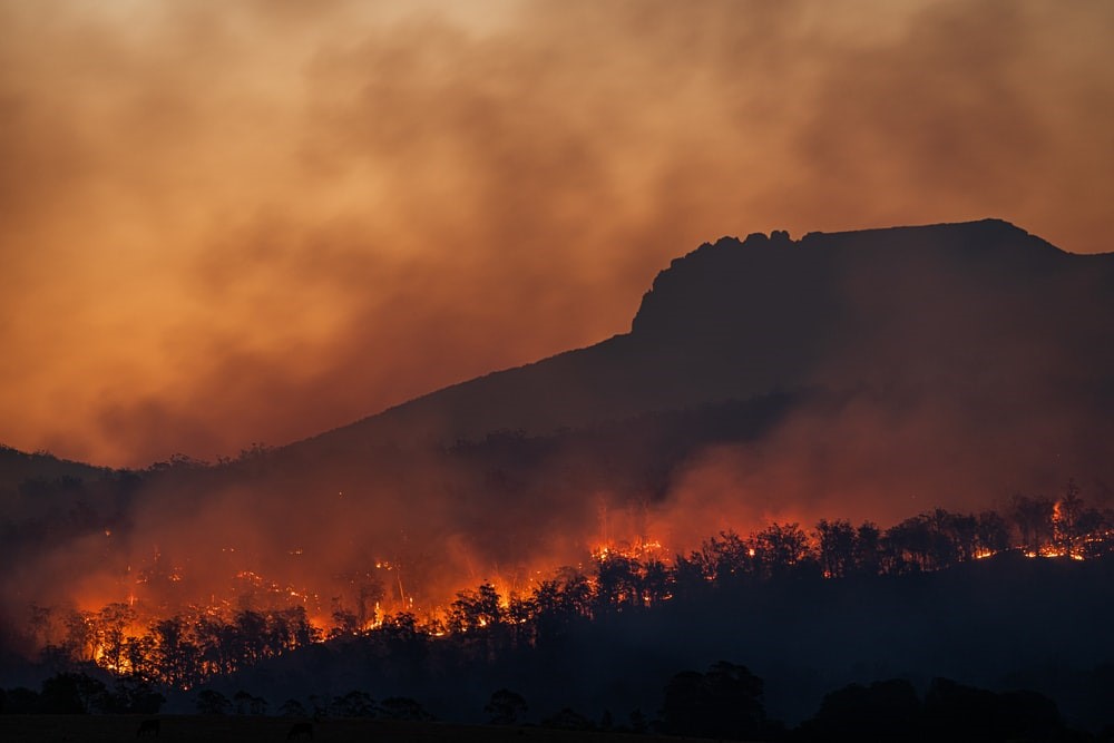 Incendio forestal California