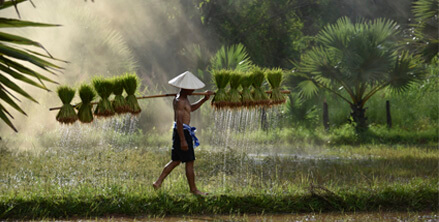 inundaciones-de-camboya-